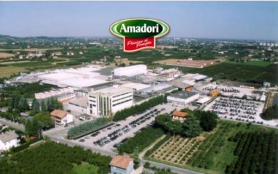 Improving Management, Engagement & Performance at Amadori